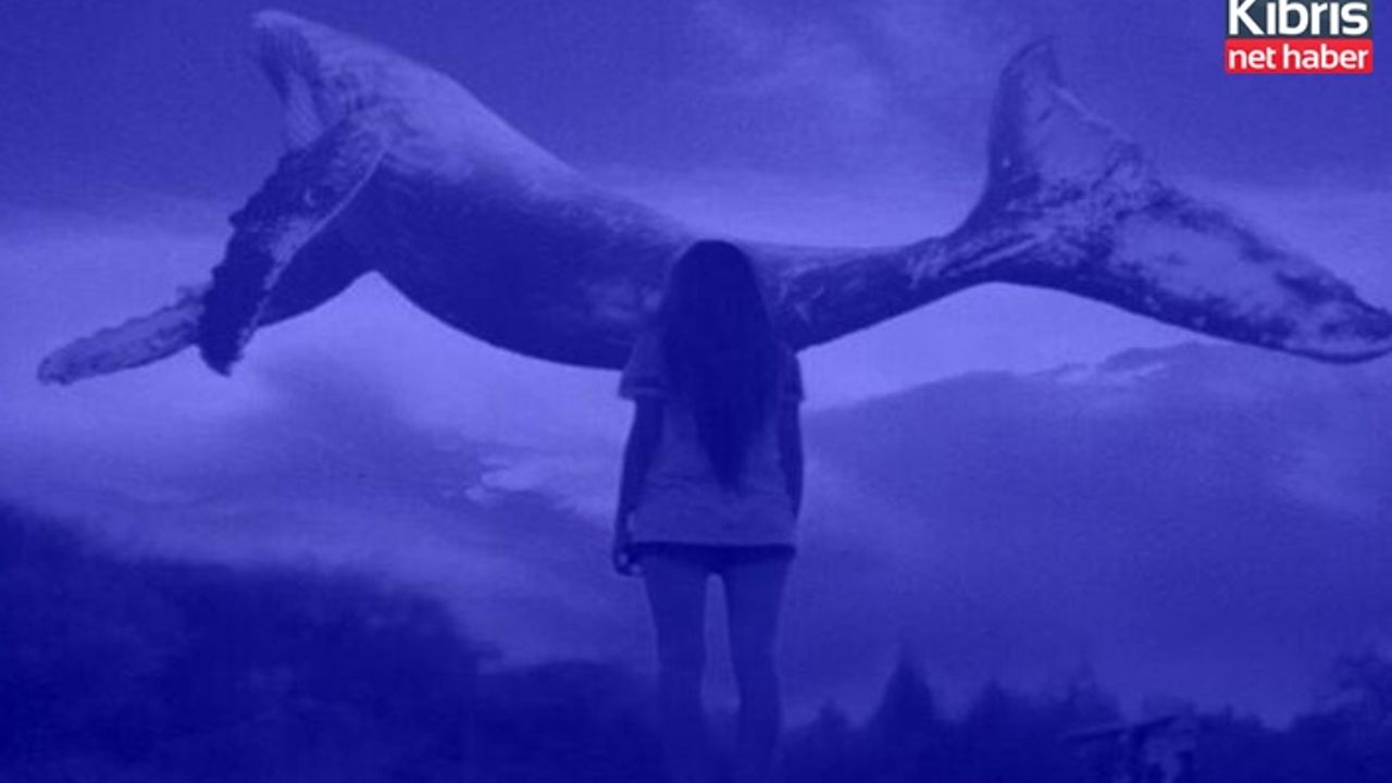 Cinayet'te Mavi balina oyunu ihtimali araştırılıyor