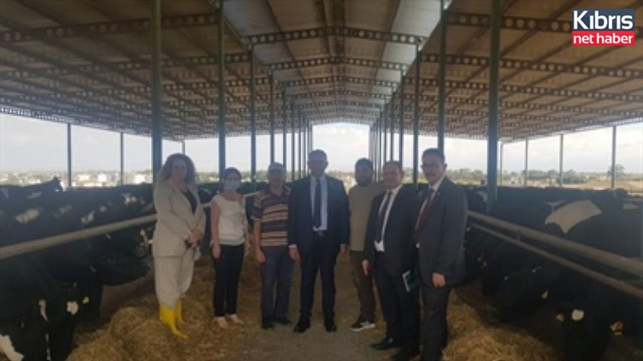 Çavuşoğlu, Üretici Mehmet Dayı'nın çiftliğinde incelemelerde bulundu