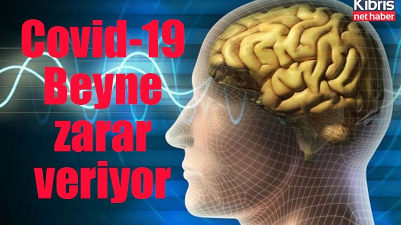 Covid-19 geçirenlerde doku ve gri madde kaybı yaşanabiliyor