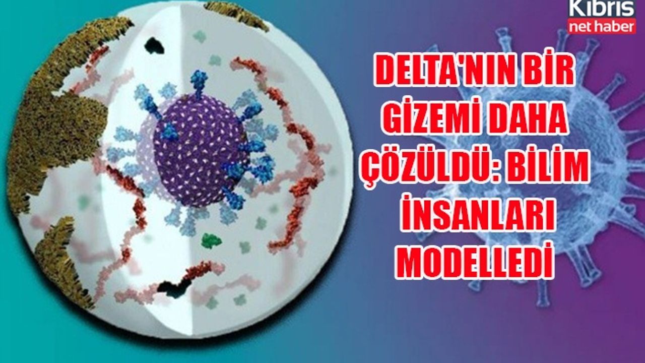 Delta'nın bir gizemi daha çözüldü: Bilim insanları modelledi