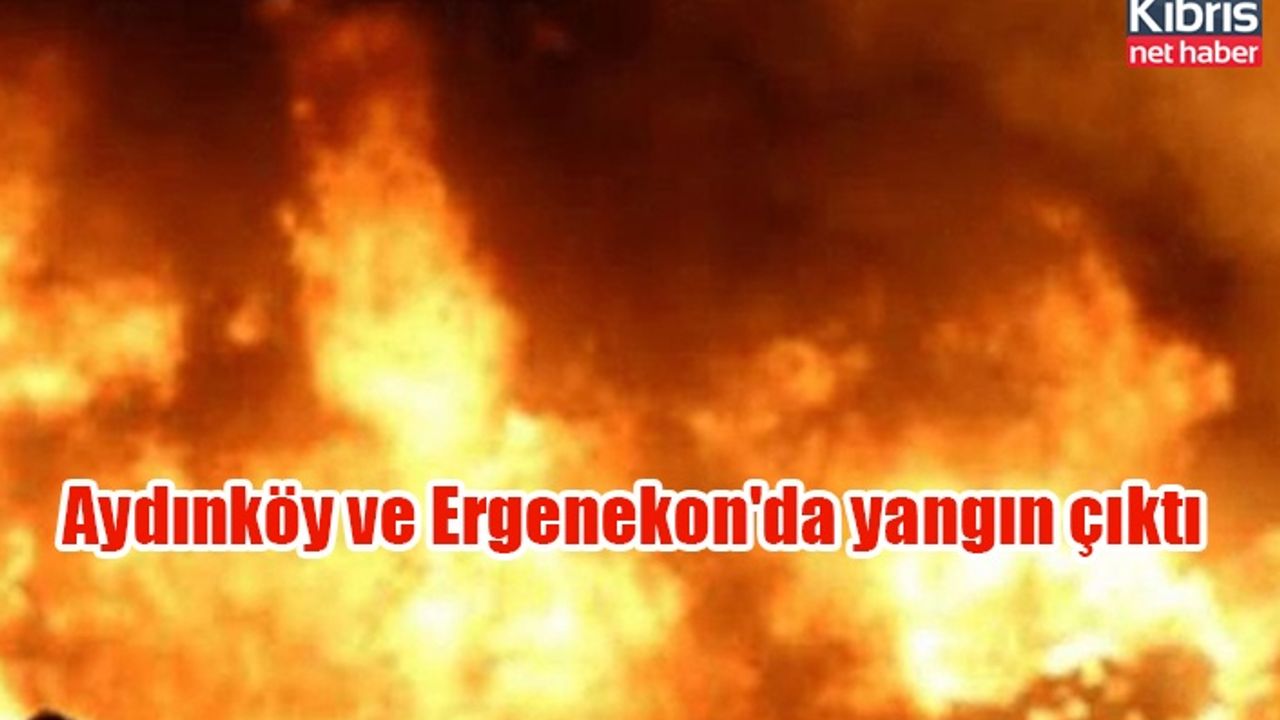 Aydınköy ve Ergenekon'da yangın çıktı