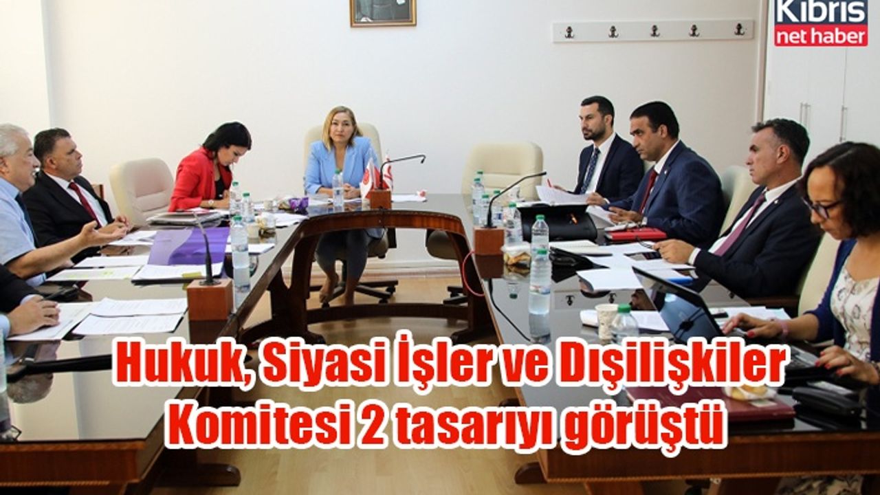 Hukuk, Siyasi İşler ve Dışilişkiler Komitesi 2 tasarıyı görüştü