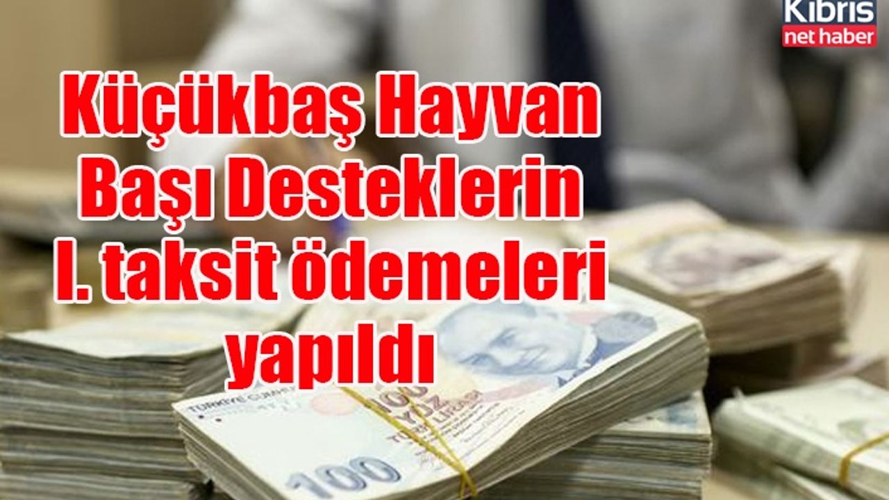 Küçükbaş Hayvan Başı Desteklerin I. taksit ödemeleri yapıldı