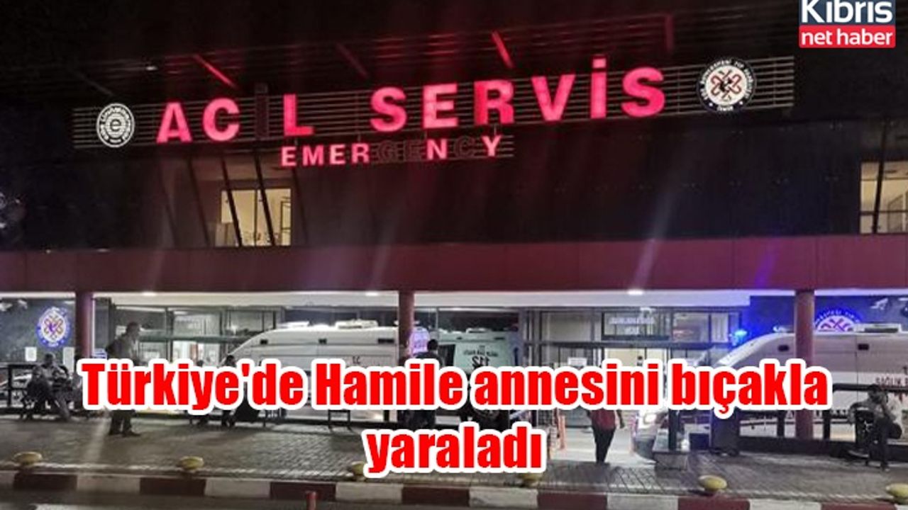 Türkiye'de Hamile annesini bıçakla yaraladı