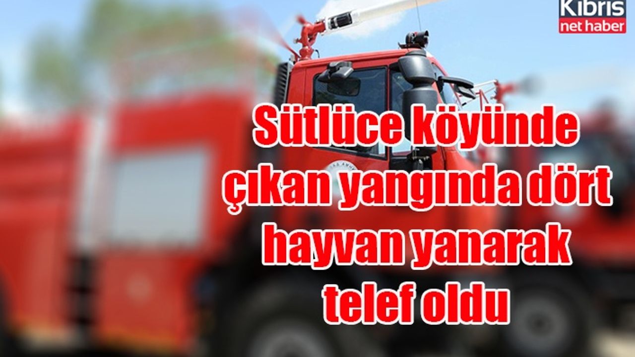 Sütlüce köyünde çıkan yangında dört hayvan yanarak telef oldu