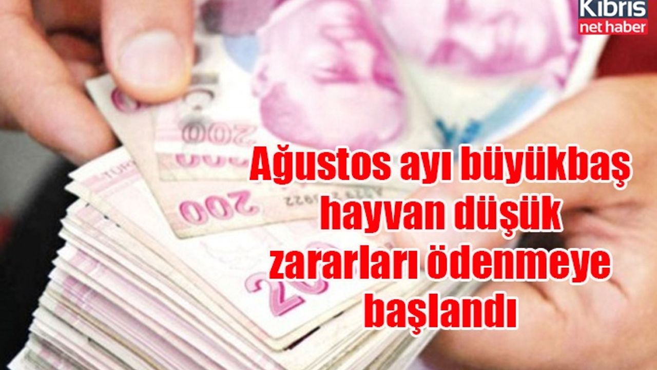 Ağustos ayı büyükbaş hayvan düşük zararları ödenmeye başlandı