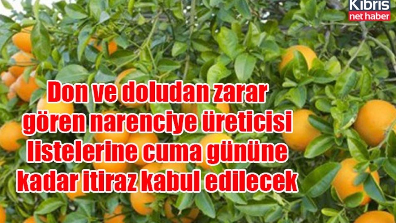Don ve doludan zarar gören narenciye üreticisi listelerine cuma gününe kadar itiraz kabul edilecek