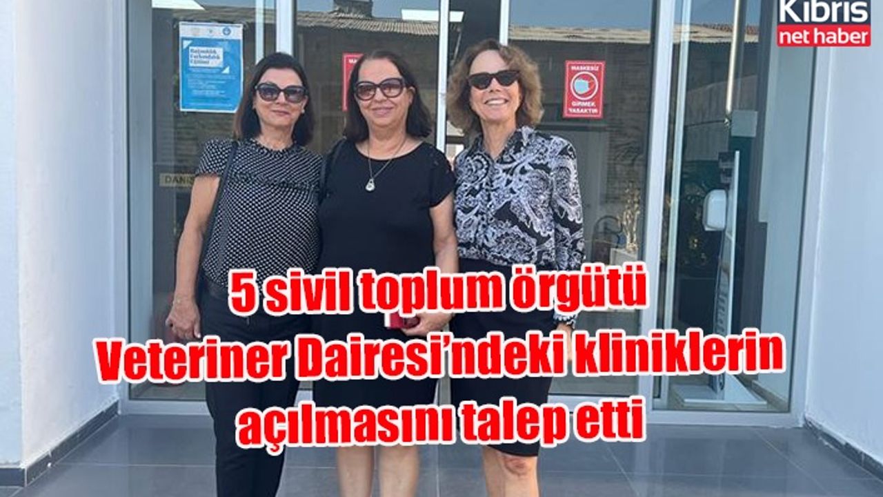5 sivil toplum örgütü Veteriner Dairesi’ndeki kliniklerin açılmasını talep etti