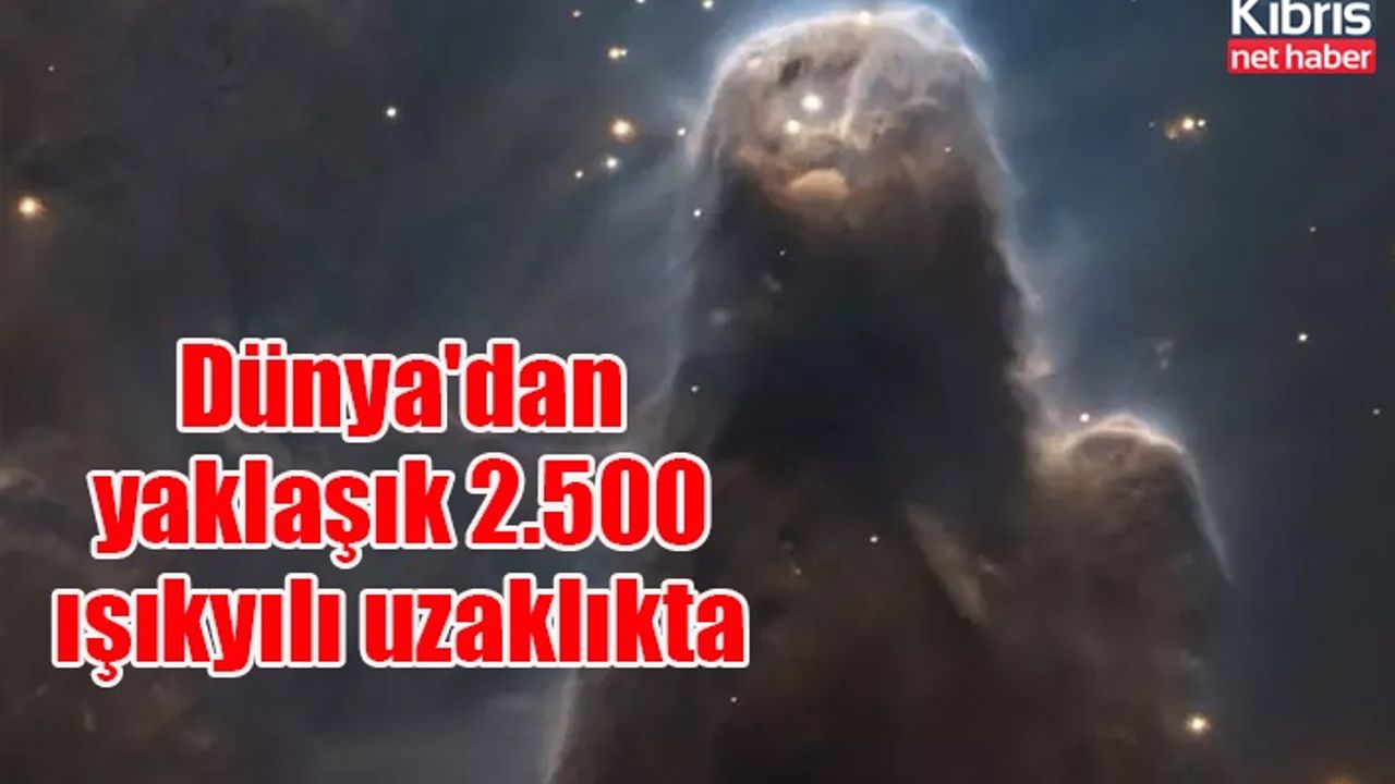 Avrupa Uzay Gözlemevi, Koni Nebulası'nın etkileyici görüntülerini paylaştı