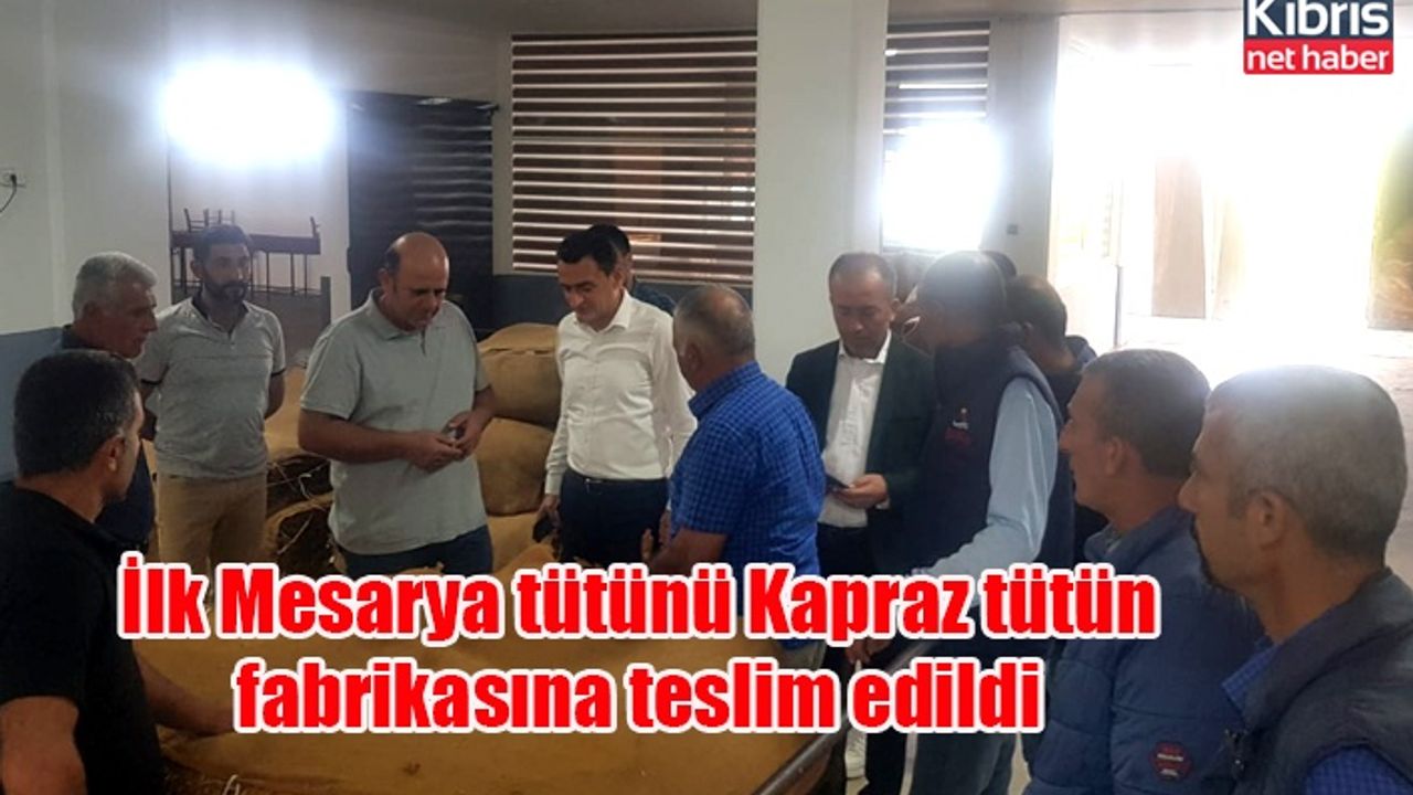 İlk Mesarya tütünü Kapraz tütün fabrikasına teslim edildi