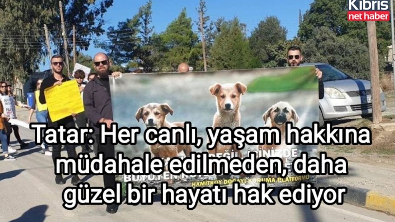 Tatar: Her canlı, yaşam hakkına müdahale edilmeden, daha güzel bir hayatı hak ediyor