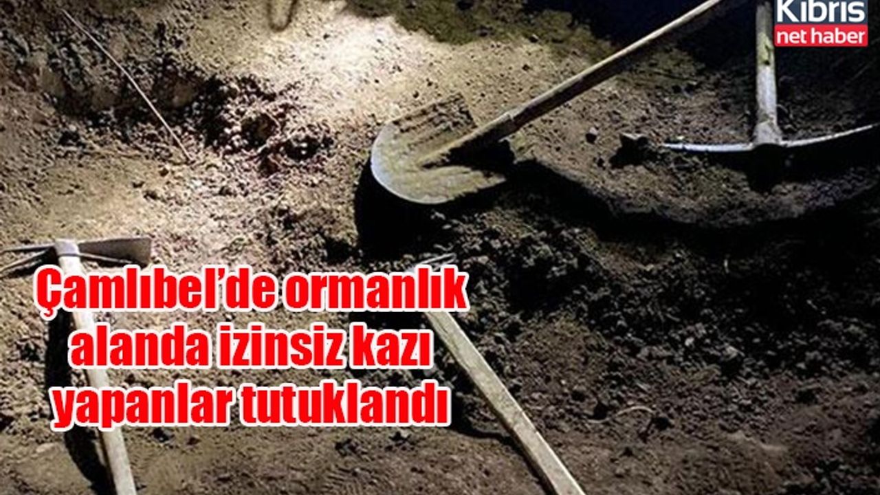Çamlıbel’de ormanlık alanda izinsiz kazı yapanlar tutuklandı