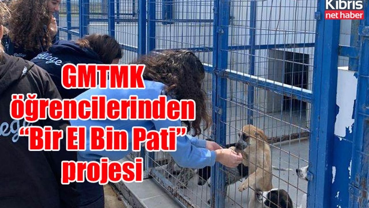 GMTMK öğrencilerinden “Bir El Bin Pati” projesi