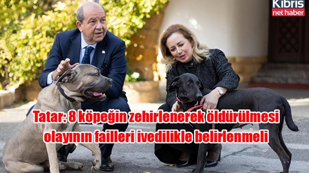 Tatar: 8 köpeğin zehirlenerek öldürülmesi olayının failleri ivedilikle belirlenmeli