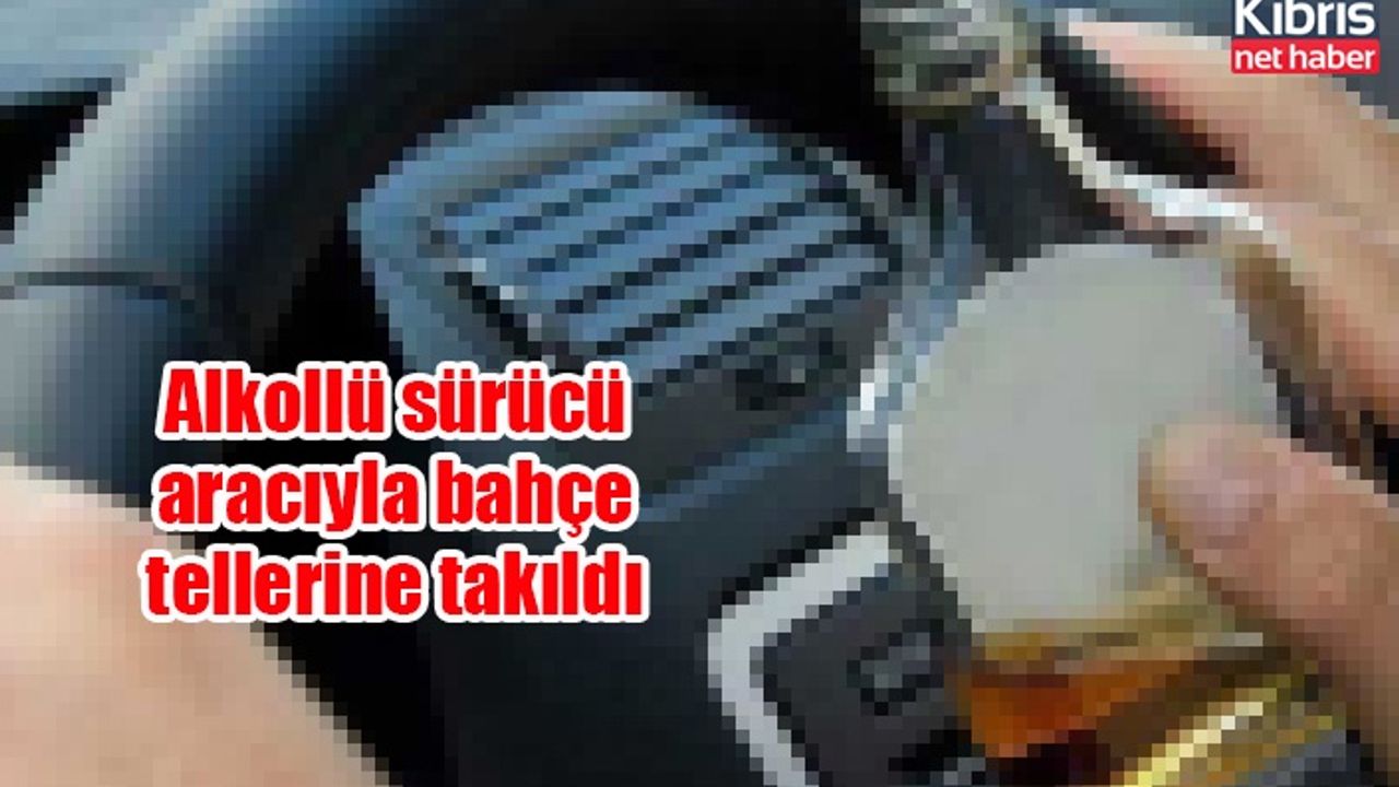 Alkollü sürücü aracıyla bahçe tellerine takıldı