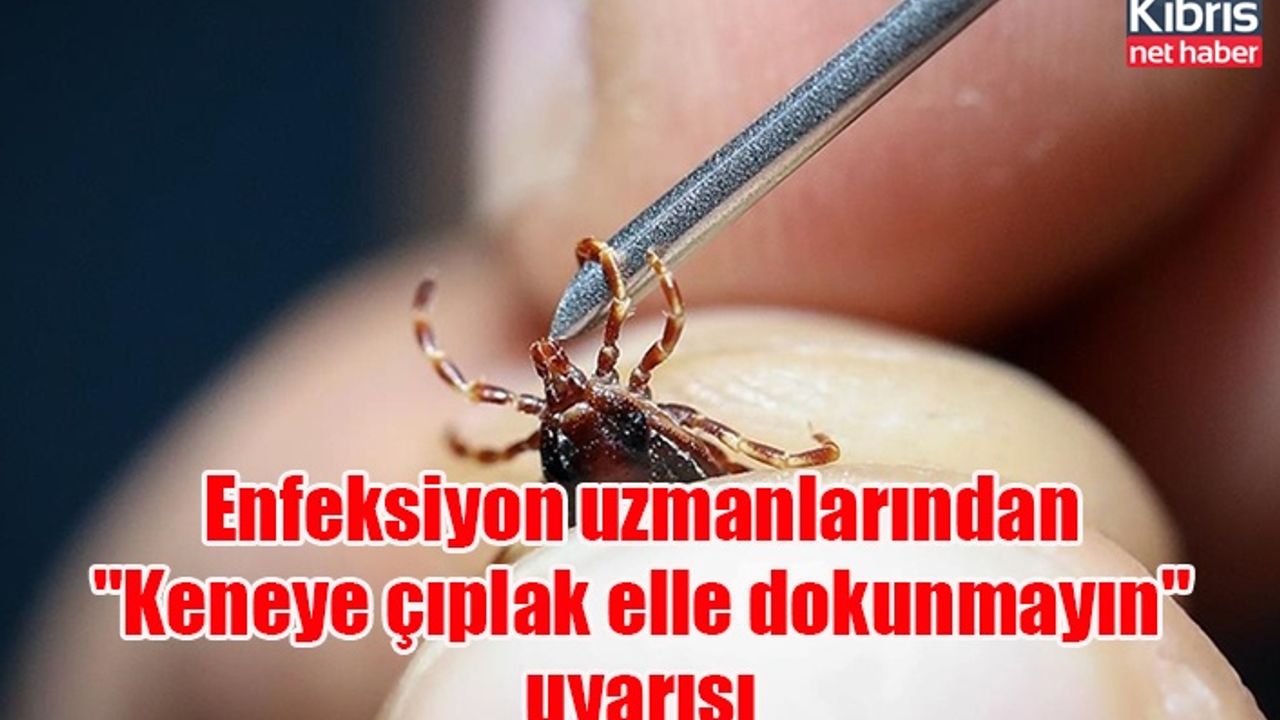 Enfeksiyon uzmanlarından "Keneye çıplak elle dokunmayın" uyarısı