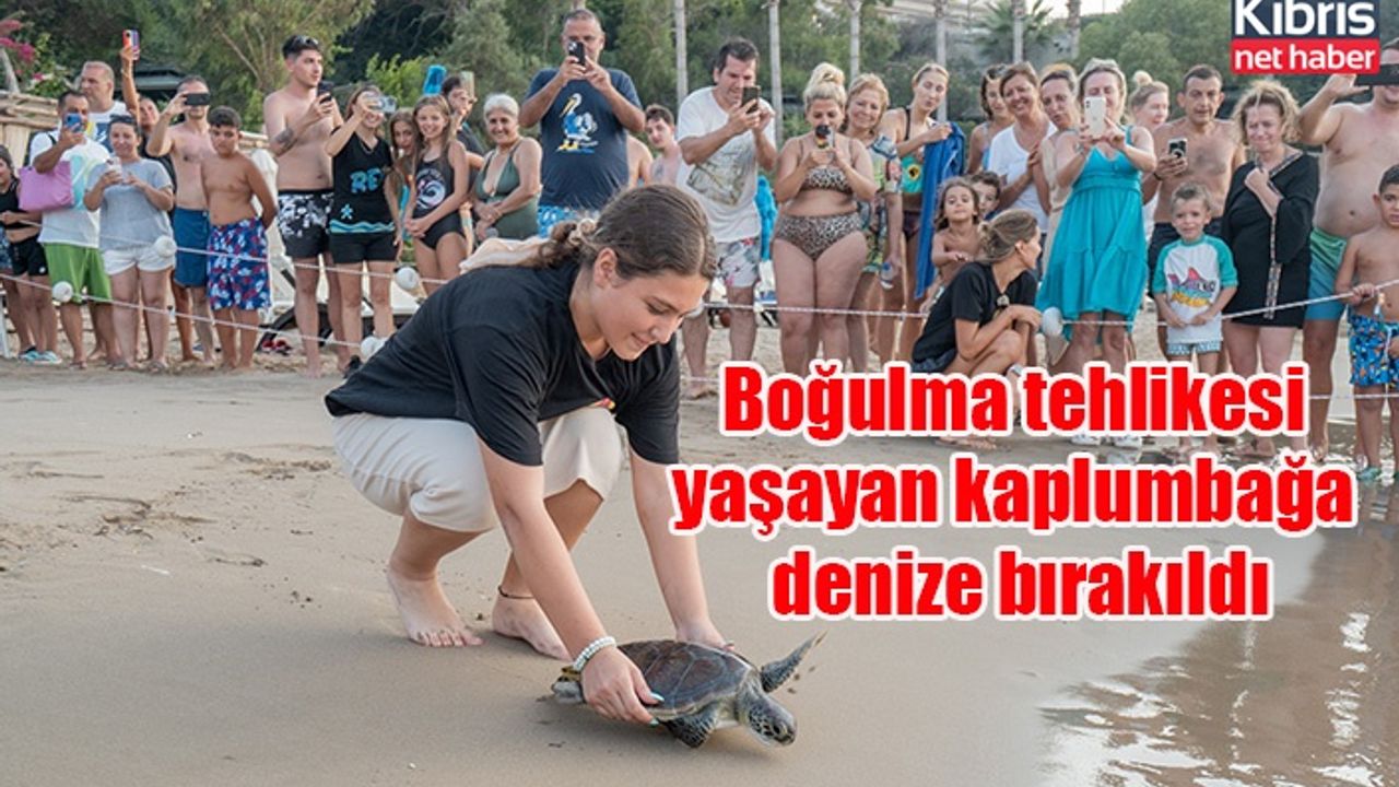 Boğulma tehlikesi yaşayan kaplumbağa denize bırakıldı