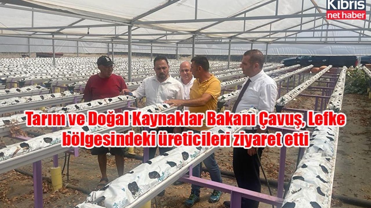 Tarım ve Doğal Kaynaklar Bakanı Çavuş, Lefke bölgesindeki üreticileri ziyaret etti