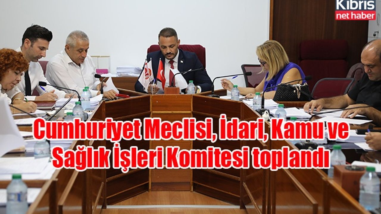 Cumhuriyet Meclisi, İdari, Kamu ve Sağlık İşleri Komitesi toplandı