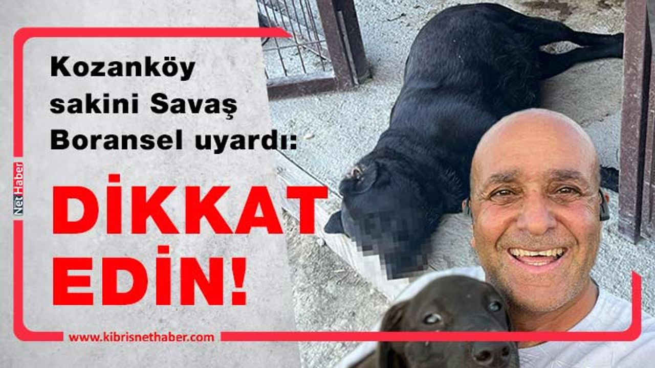 Savaş Boransel: Katiller bölgeye zehir bırakmışlar!