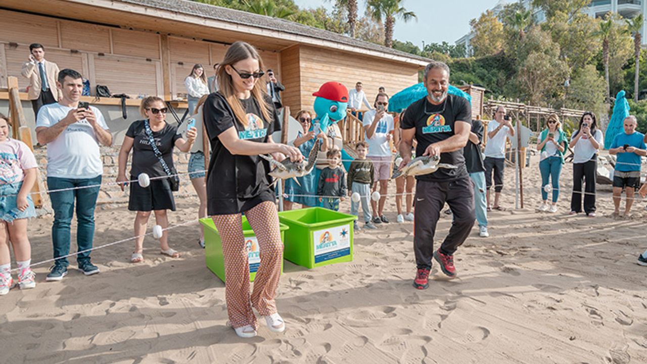Meritta üç deniz kaplumbağasını doğal yaşam alanına kavuşturdu