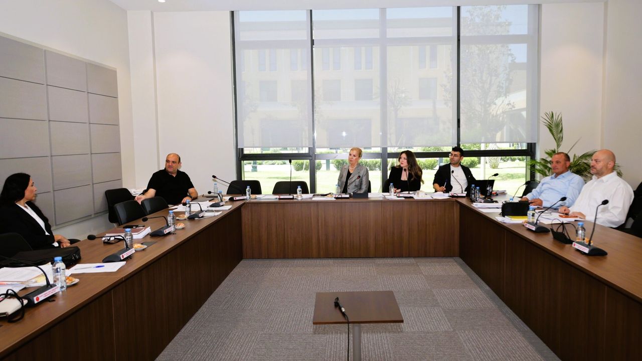Ekonomi, Maliye, Bütçe ve Plan Komitesi üç yasa tasarısını görüştü