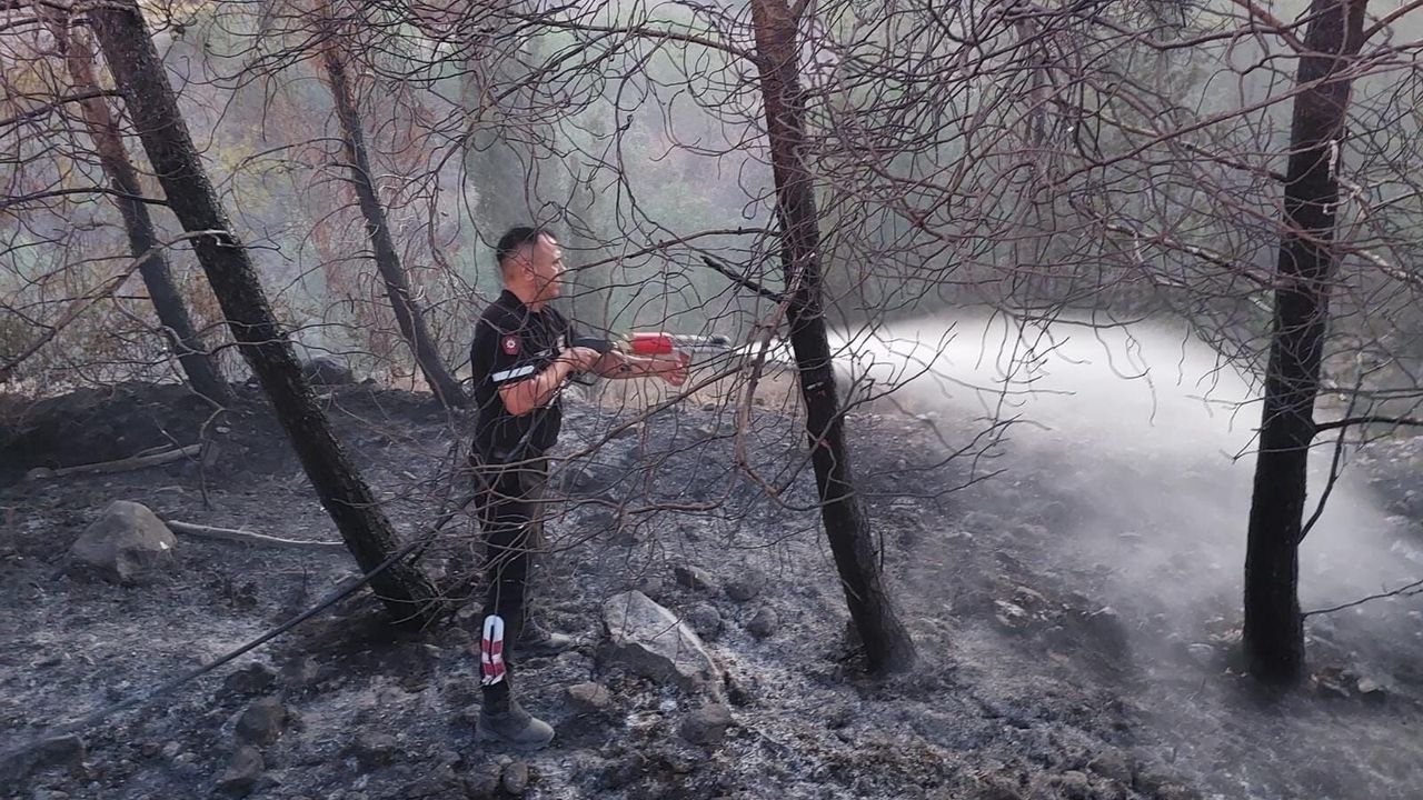 Serdarlı'daki yangın kontrol altına alındı