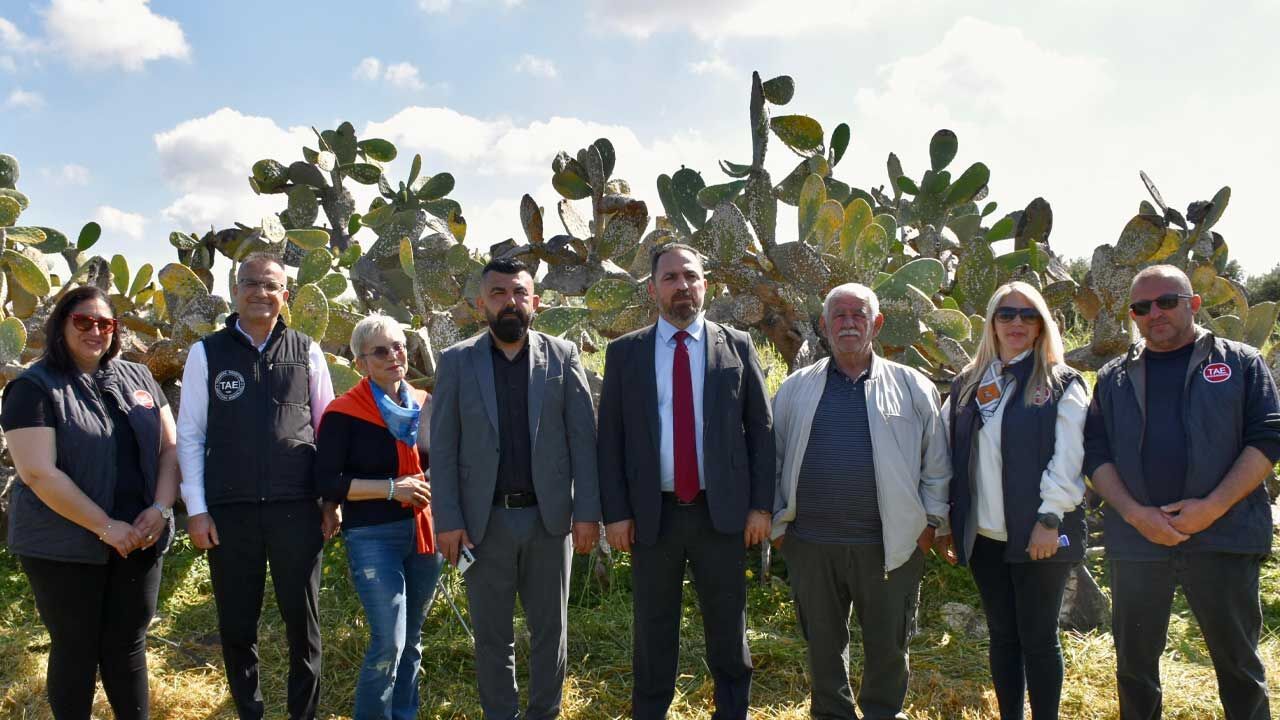 Tarım Bakanlığı: Zararlılara karşı doğal mücadelede büyük ilerleme sağlandı