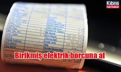 Birikmiş elektrik borcuna af