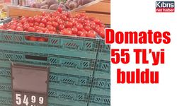 Domates 55 TL’yi buldu