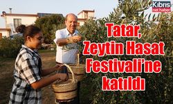 Tatar, Zeytin Hasat Festivali’ne katıldı