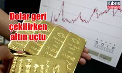 Dolar geri çekilirken altın uçtu