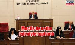 Meclis denetim işleviyle toplandı