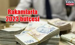 Rakamlarla 2023 bütçesi