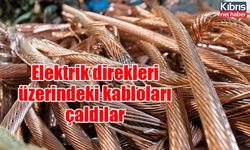 Elektrik direkleri üzerindeki kabloları çaldılar