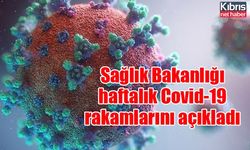 Sağlık Bakanlığı haftalık Covid-19 rakamlarını açıkladı