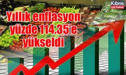 Yıllık enflasyon yüzde 114.35’e yükseldi