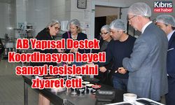 AB Yapısal Destek Koordinasyon heyeti sanayi tesislerini ziyaret etti