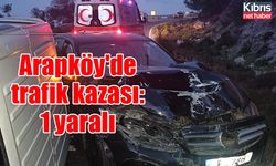 Arapköy'de trafik kazası: 1 yaralı