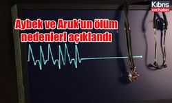 Aybek ve Aruk’un ölüm nedenleri açıklandı