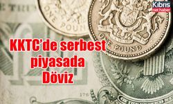 Euro 20,48 liradan, sterlin 23,12 liradan haftaya başladı