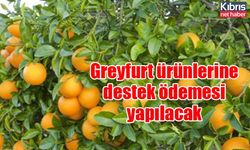 Greyfurt ürünlerine destek ödemesi yapılacak