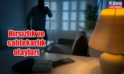 Hırsızlık ve sahtekarlık olayları…