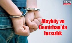 Alayköy ve Demirhan'da hırsızlık