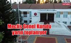 Meclis Genel Kurulu yarın toplanıyor