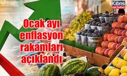 Ocak ayı enflasyon rakamları açıklandı