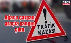 Ağaca çarpan araçta yangın çıktı