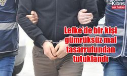 Lefke’de bir kişi gümrüksüz mal tasarrufundan tutuklandı