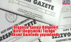 "Organize Sanayi Bölgeleri Kira (Değişiklik) Tüzüğü" Resmi Gazetede yayımlandı