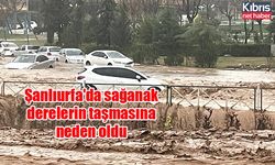 Şanlıurfa'da sağanak derelerin taşmasına neden oldu